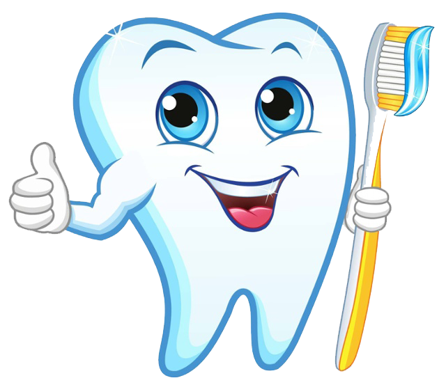 Dentist Dental website price